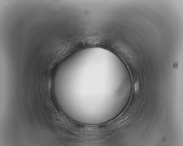 X0000095131299200712070957