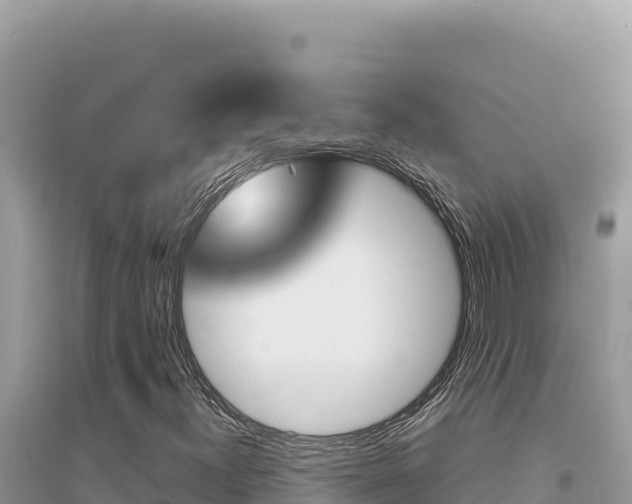 X0000095131300200712070957