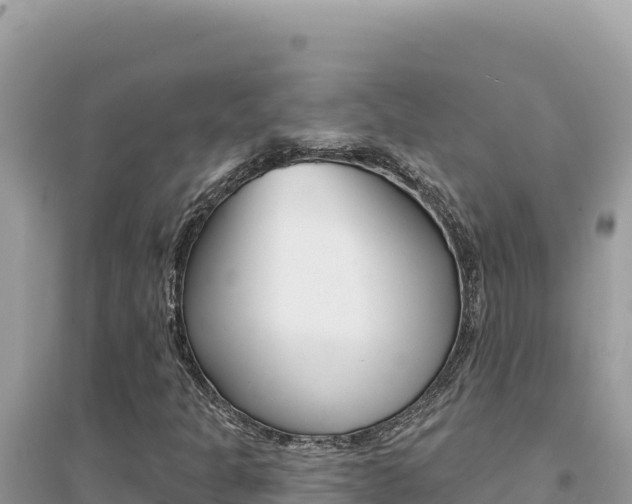 X0000095131301200712070957