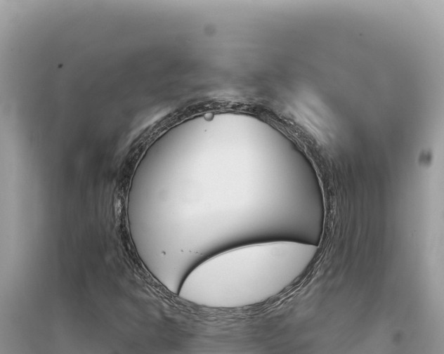 X0000095131302200712070957