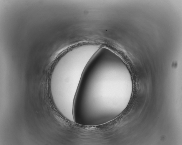 X0000095131304200712070957