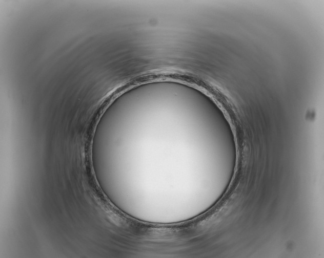 X0000095131305200712070957