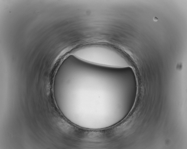 X0000095131306200712070958