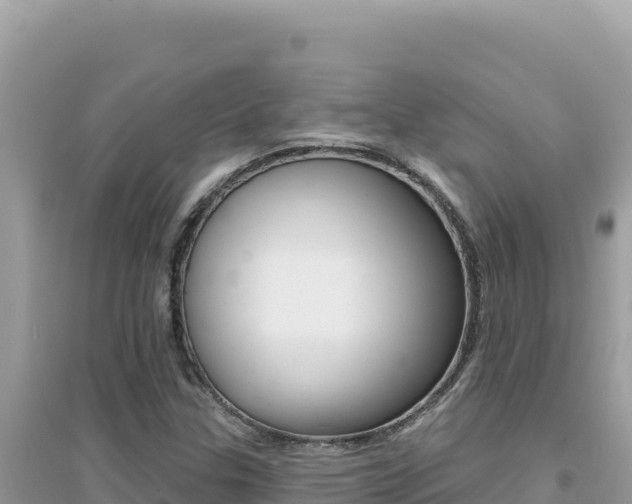 X0000095131307200712070958