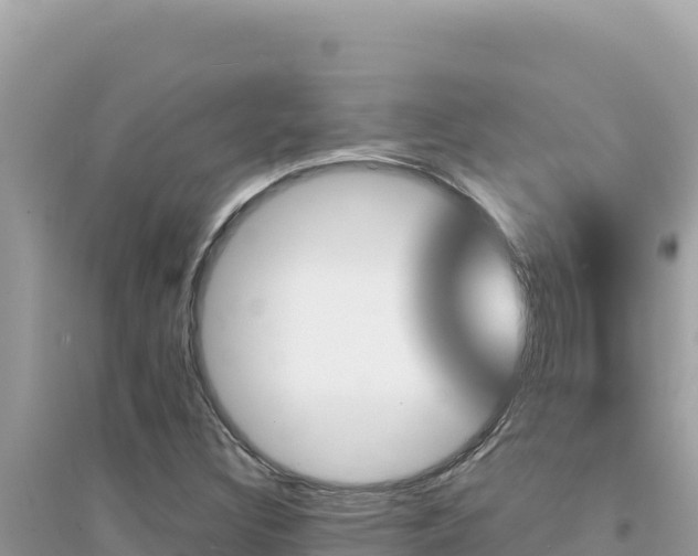 X0000095131308200712070958