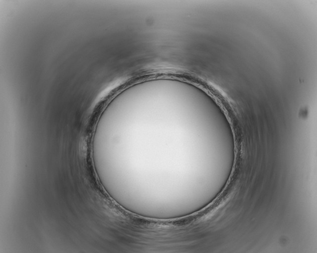 X0000095131309200712070958