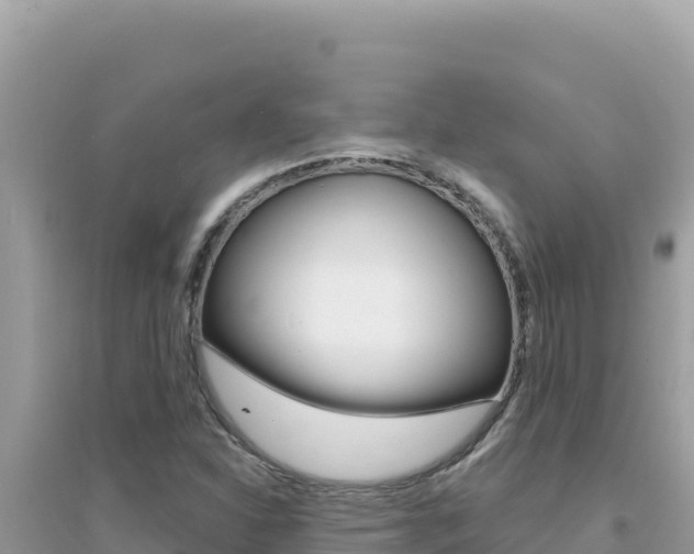 X0000095131310200712070958