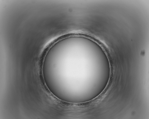X0000095131311200712070958