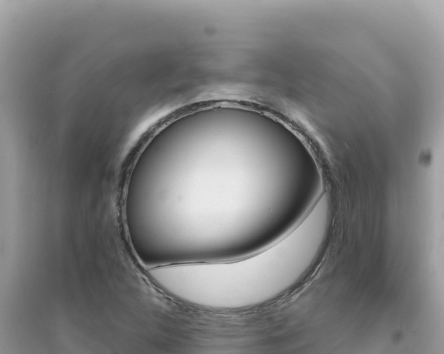 X0000095131312200712070958