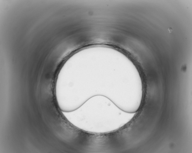 X0000095131314200712070958