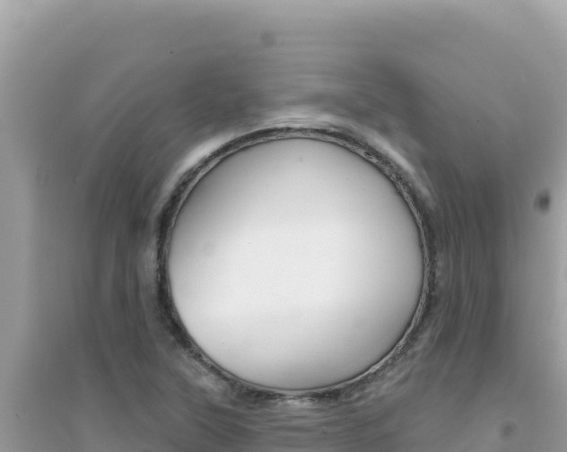 X0000095131315200712070958