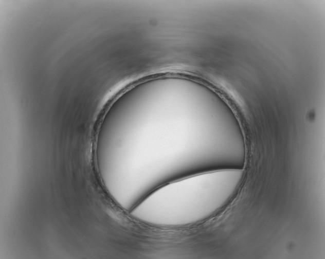 X0000095131316200712070958