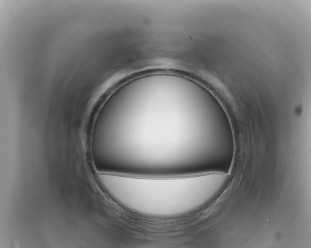 X0000095131318200712070958