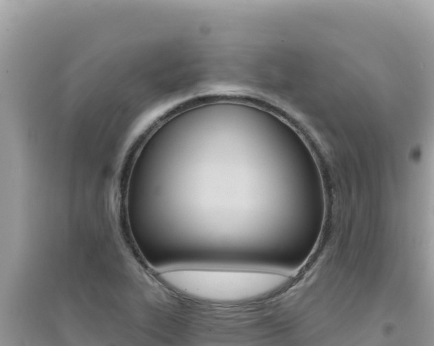 X0000095131319200712070958