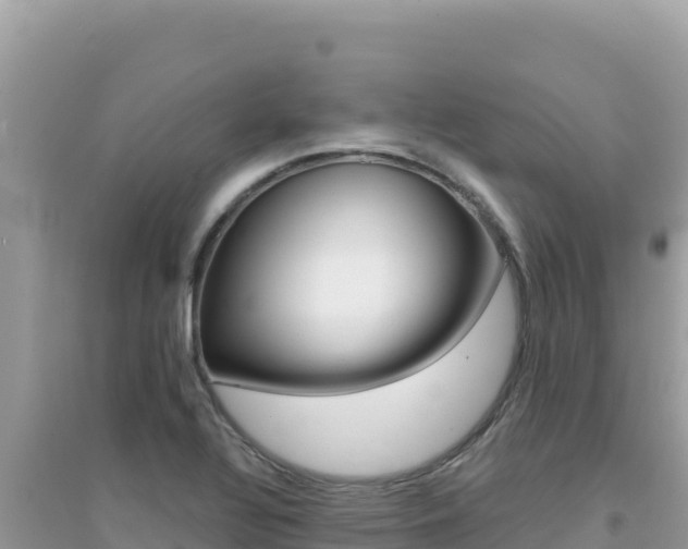 X0000095131320200712070958