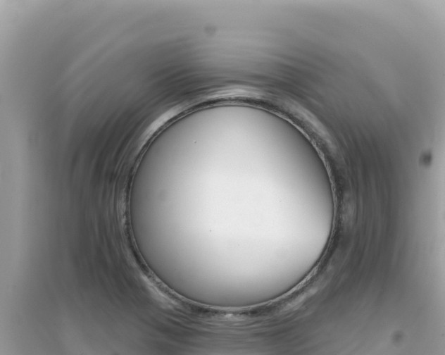 X0000095131321200712070958