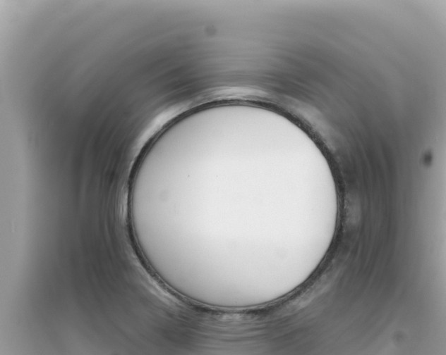 X0000095131322200712070958