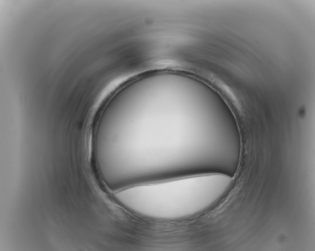 X0000095131323200712070958