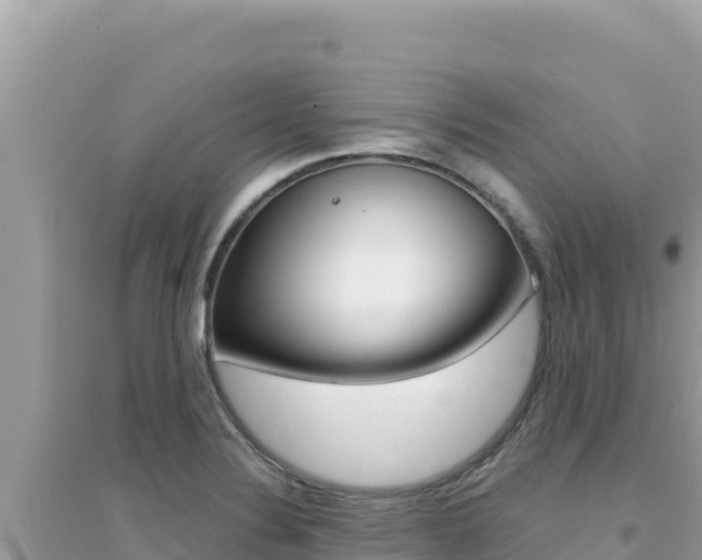 X0000095131324200712070958