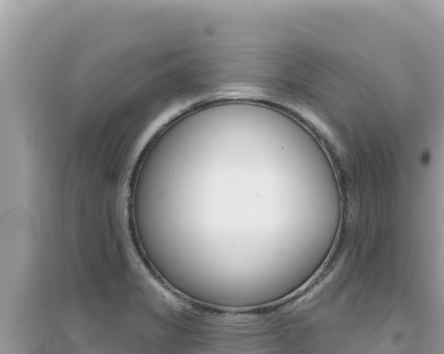 X0000095131325200712070958