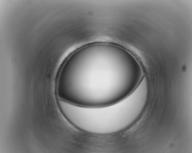 X0000095131326200712070958