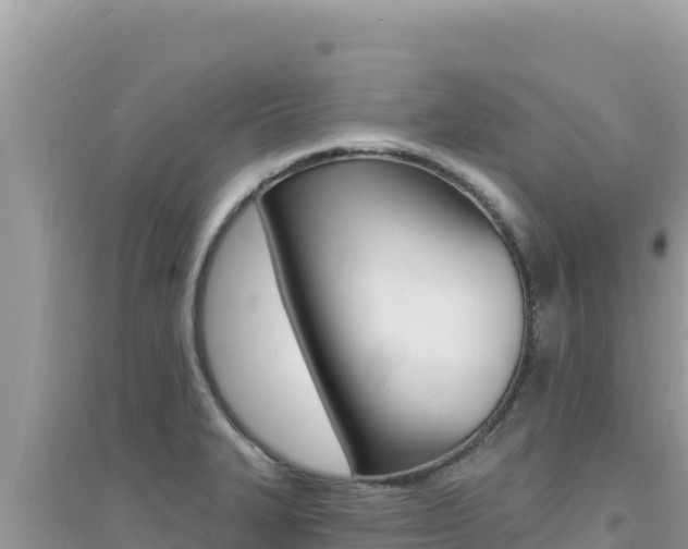 X0000095131327200712070958