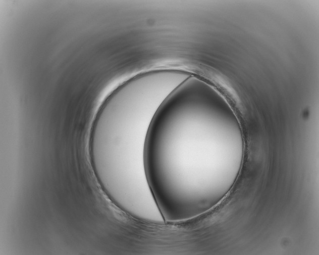 X0000095131328200712070958