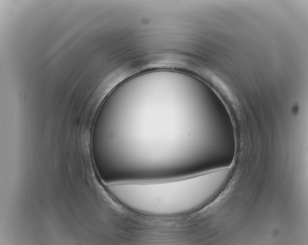 X0000095131329200712070958