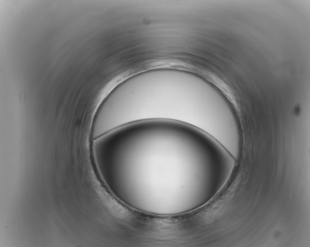 X0000095131330200712070958