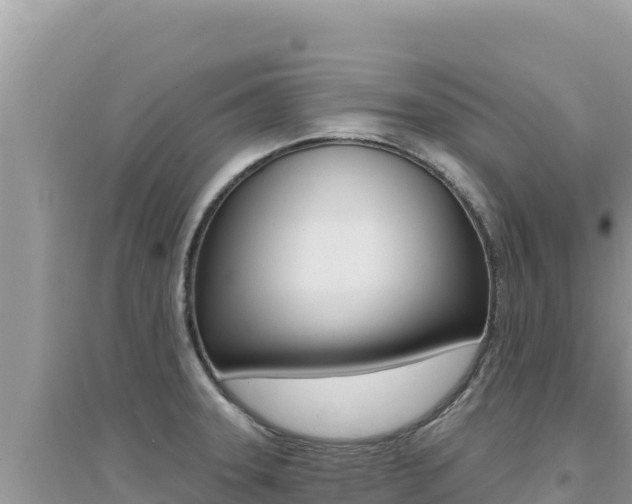 X0000095131331200712070958