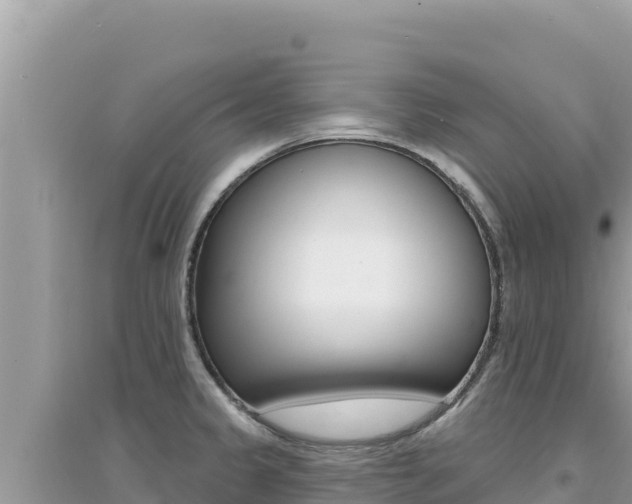 X0000095131333200712070958