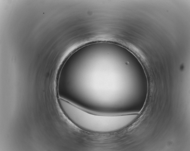 X0000095131334200712070958