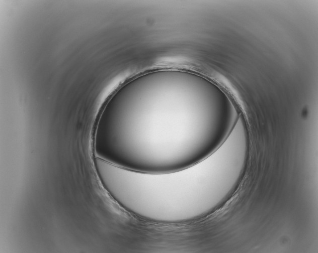 X0000095131336200712070958