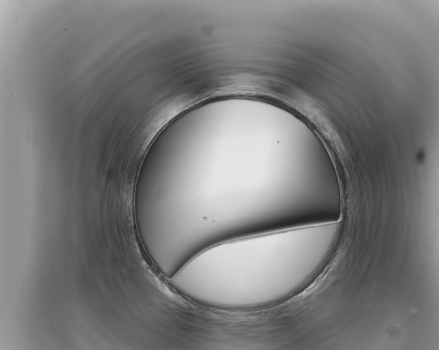 X0000095131337200712070958