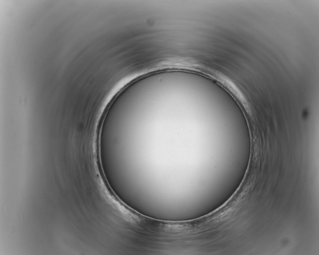 X0000095131339200712070958
