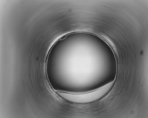 X0000095131340200712070958