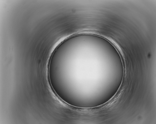 X0000095131341200712070958