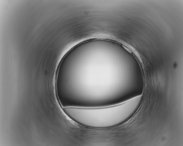 X0000095131343200712070958