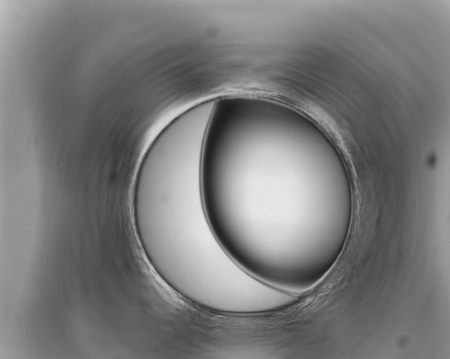 X0000095131344200712070958
