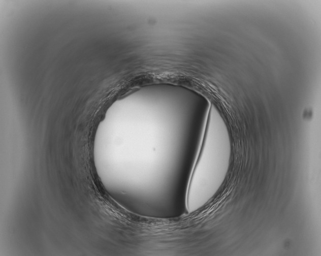X0000095131345200712070957
