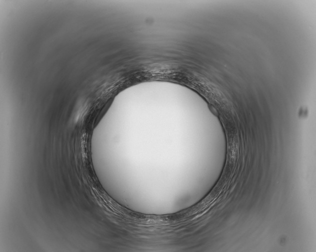 X0000095131346200712070957