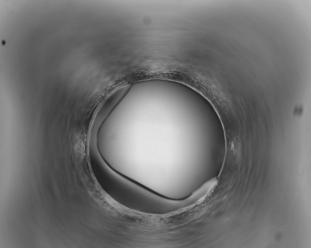 X0000095131348200712070957