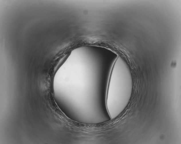 X0000095131349200712070957