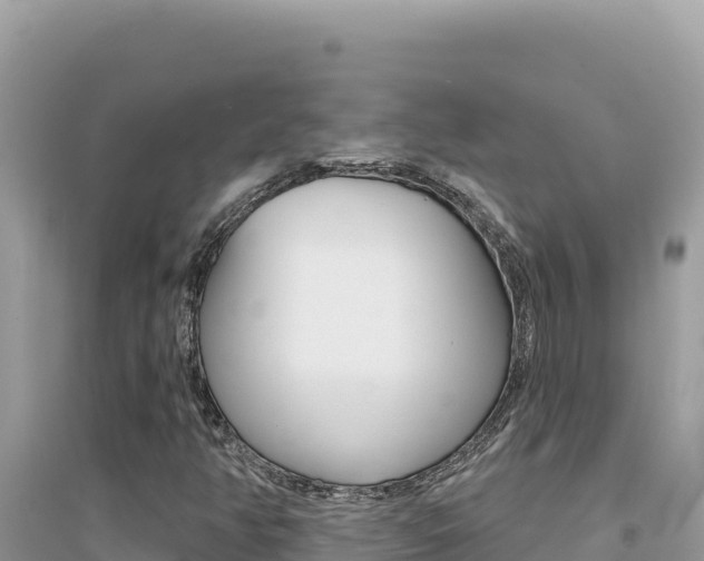 X0000095131350200712070957
