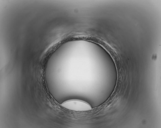 X0000095131351200712070957