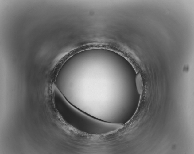 X0000095131352200712070957