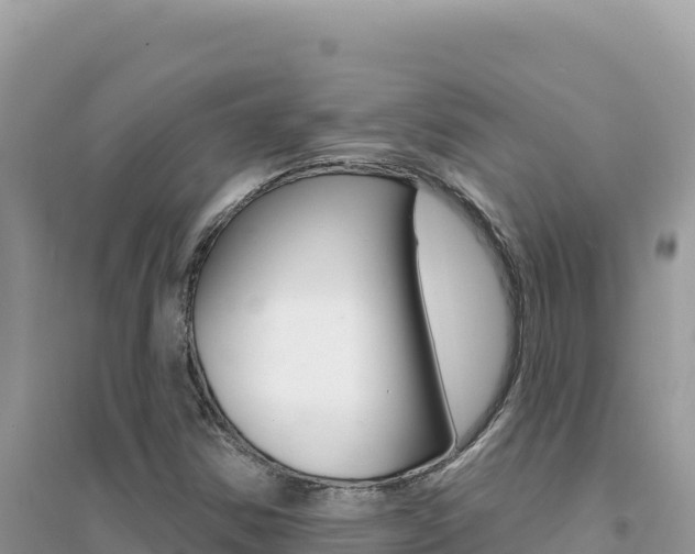 X0000095131354200712070957
