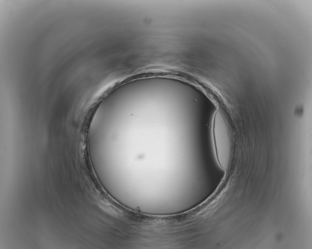 X0000095131355200712070957