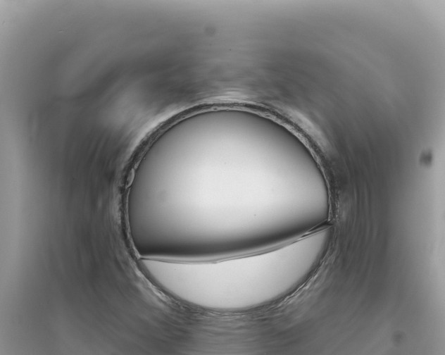 X0000095131356200712070957
