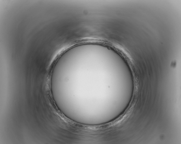 X0000095131357200712070957